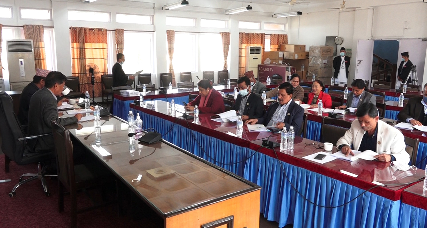 सार्वजनिक लेखा समितिको प्रतिवेदन पारित